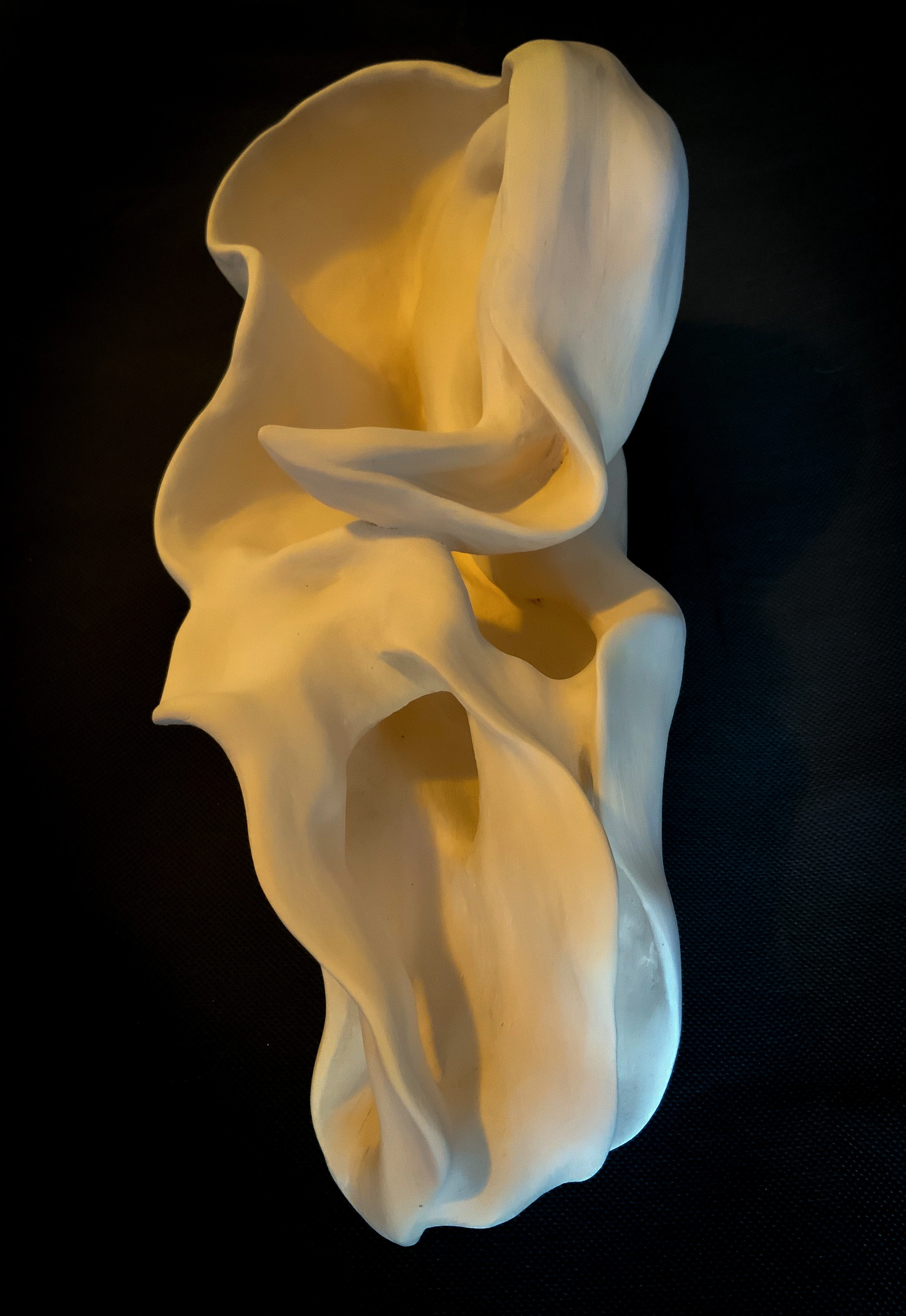 Shankha (Conch),2019, Threshold Exhibition, Nyisztor Gallery, 2022